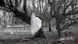 Trafford Hall tree and bride